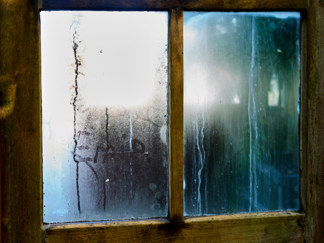 beschlagenes Holzfenster das von Schimmel befallen ist